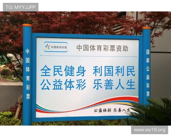 6T体育:探索现代体育创新与全民健身的未来路径